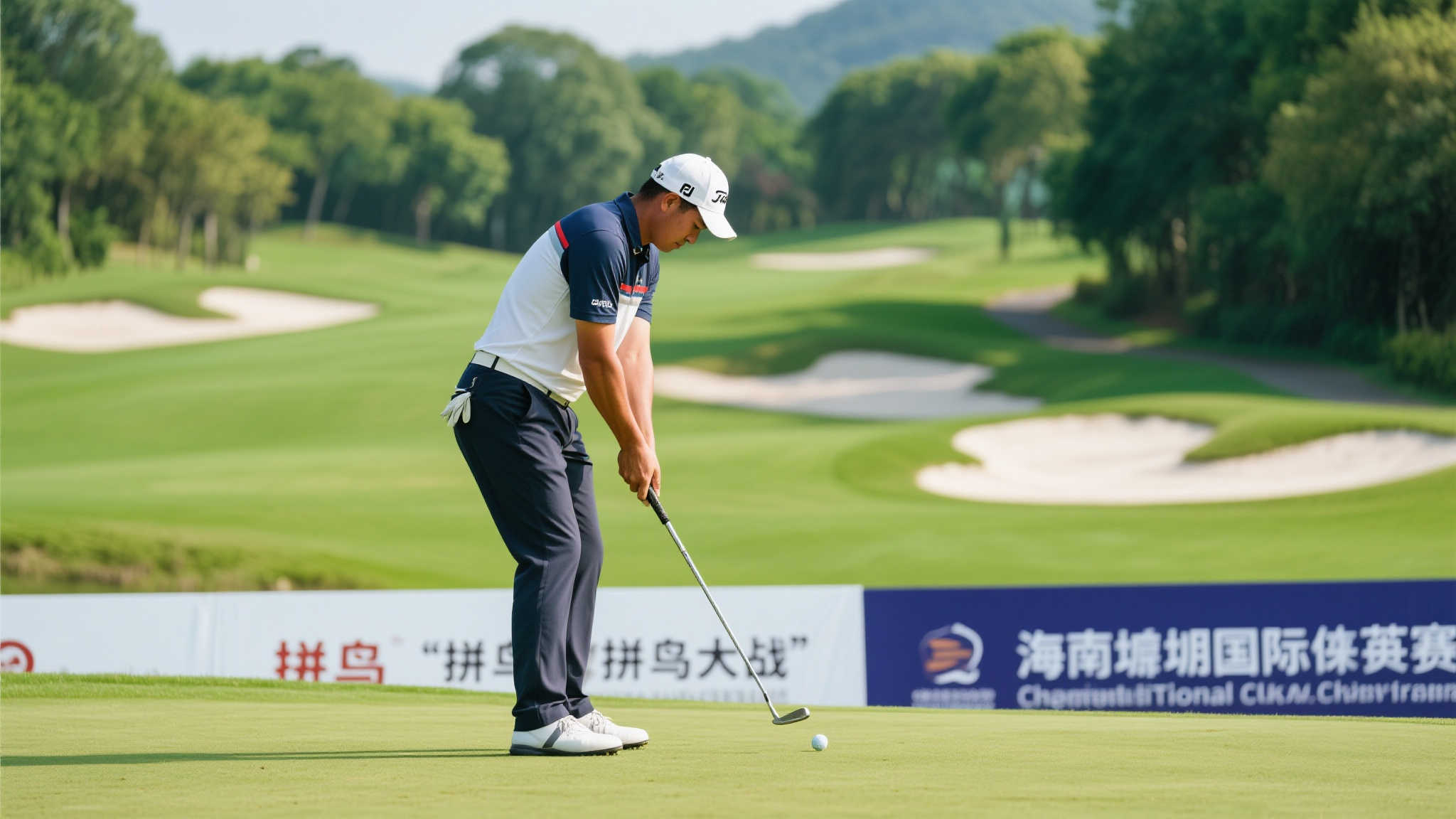 象展示和市 象展示和市